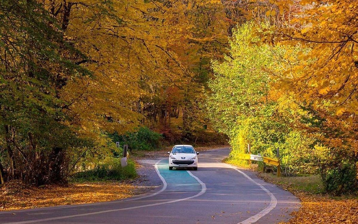 پارک جنگلی النگدره