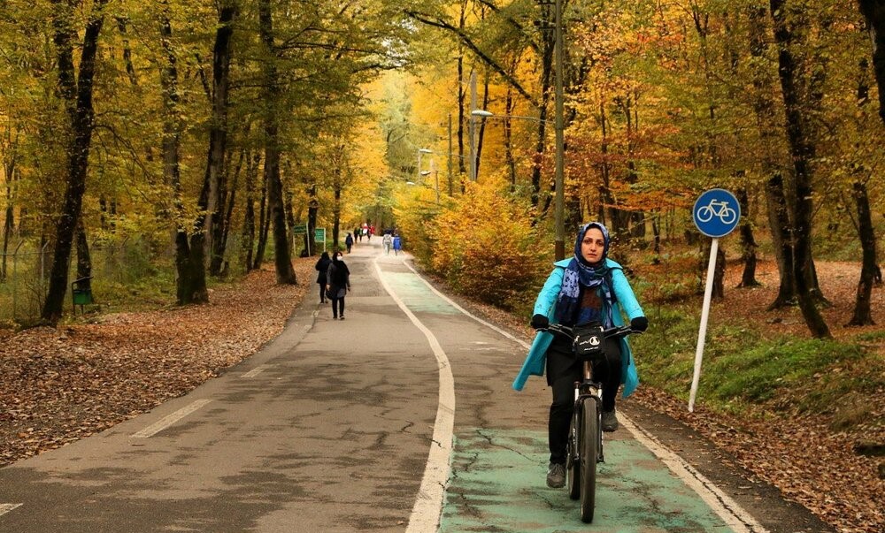 پارک جنگلی النگدره