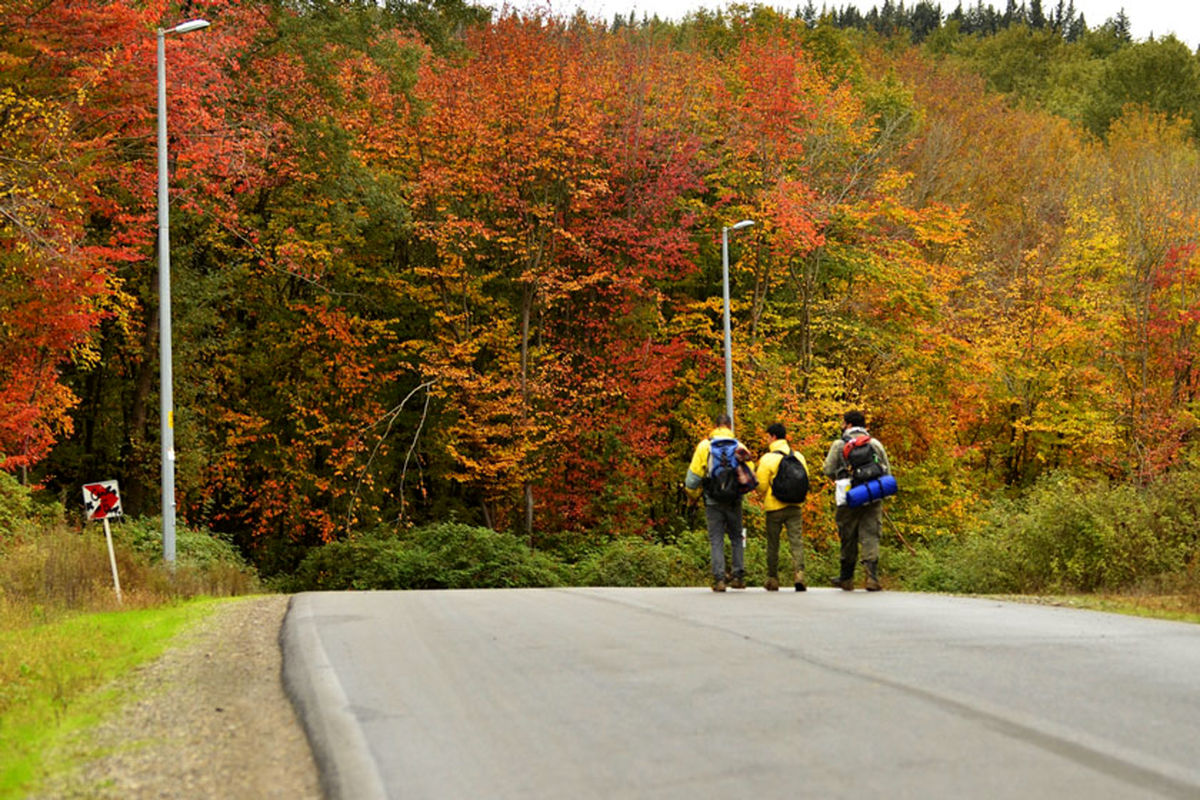 پارک جنگلی النگدره
