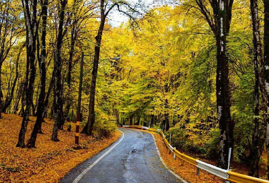 پارک جنگلی النگدره