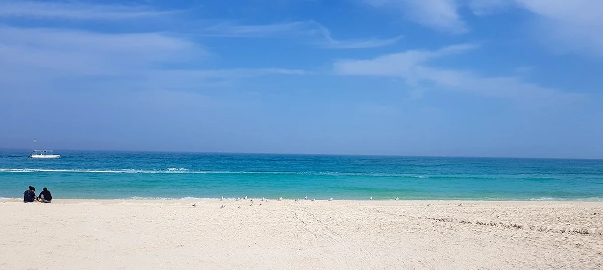 ساحل مرجان کیش