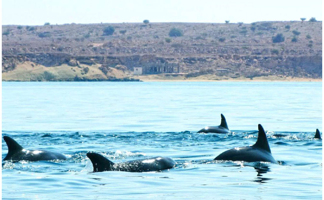 بهترین مقاصد سفر در زمستان