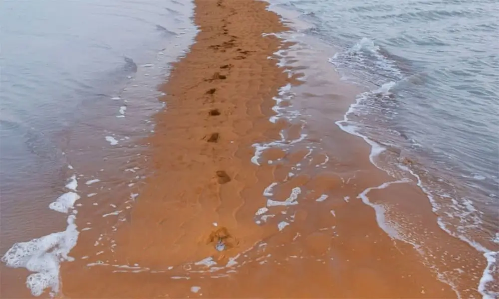 ساحل دو طرفه یا ساحل دو دریا در نزدیکی روستای کنارسیاه و میان آبهای خلیج فارس واقع شده
