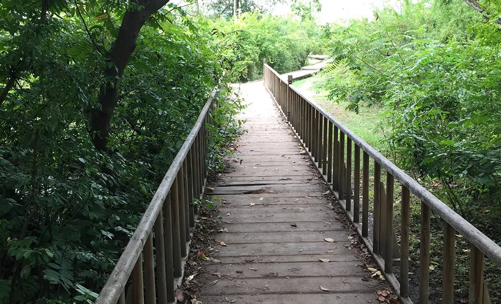 پل چوبی تالاب جوکندان