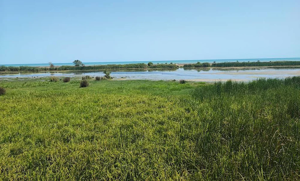 پل چوبی جوکندان تالش