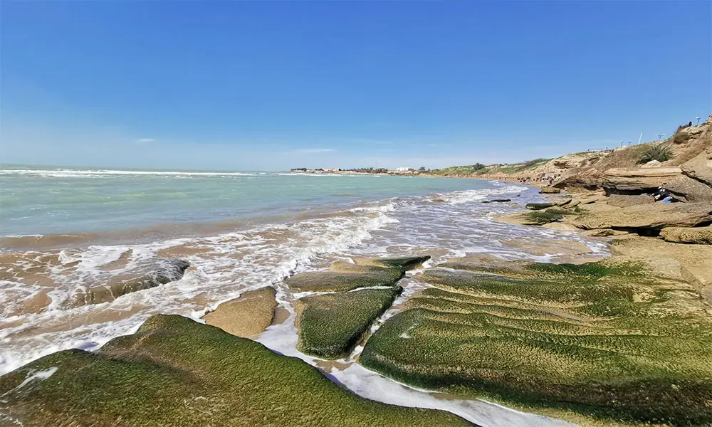 ساحل ریشهر بوشهر