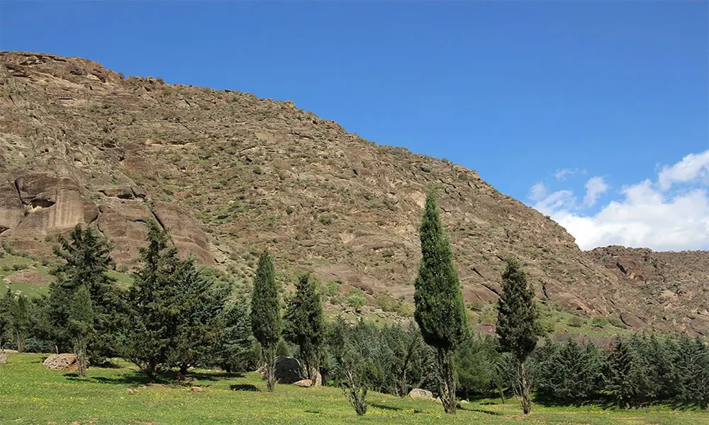 مخمل‌ کوه لرستان